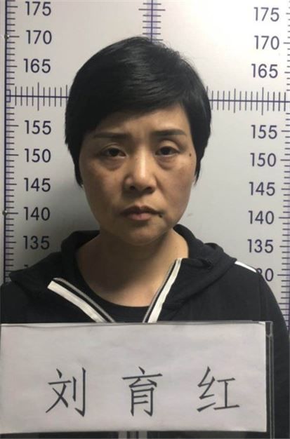 安徽这起案件被全国扫黑办挂牌督办,警方悬赏十万元通缉