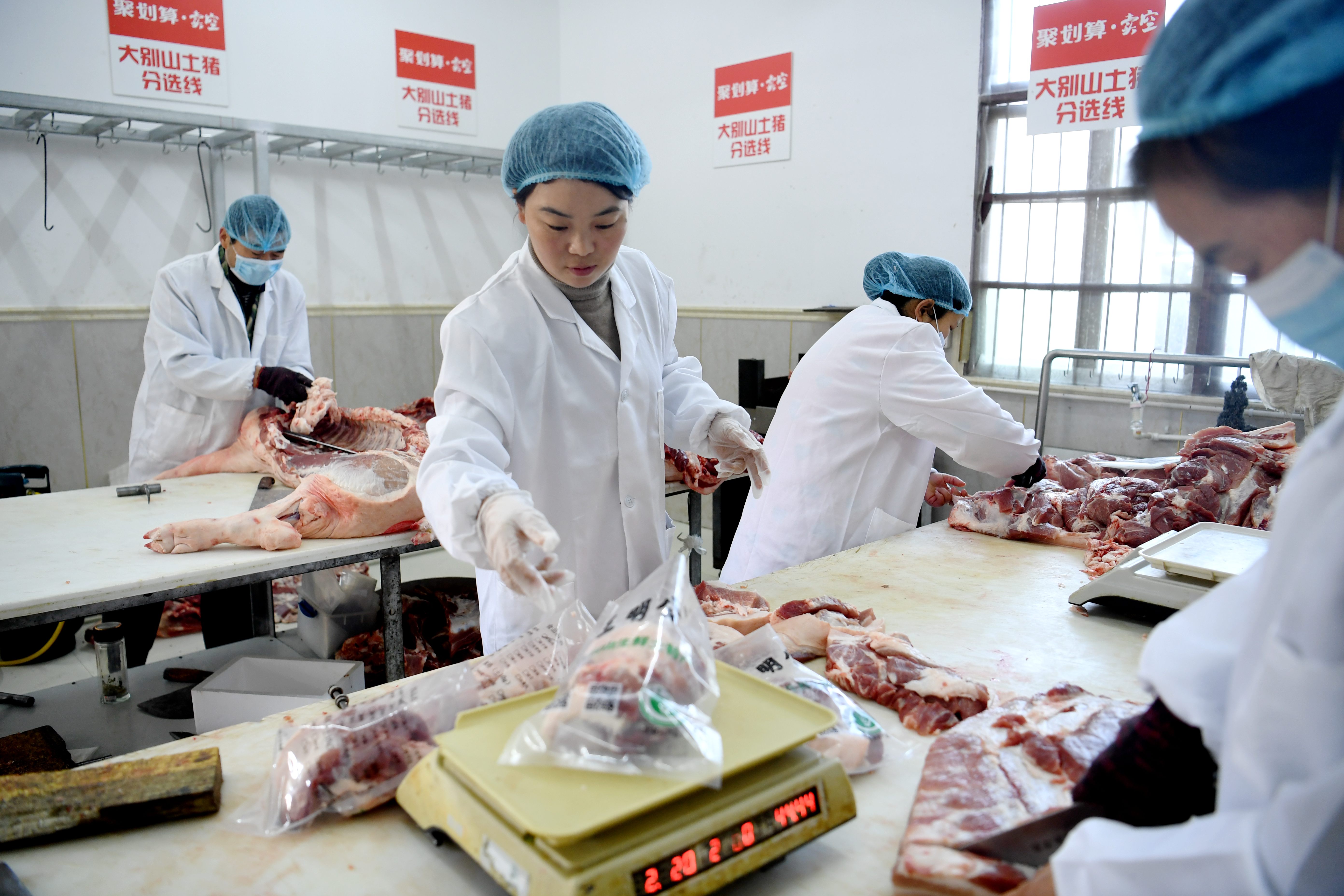 王欢从安徽农业大学毕业后,回乡养猪并做电商卖猪肉