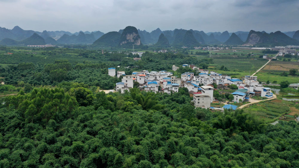 7月4日拍摄的竹林围绕的柳州市柳南区太阳村镇百乐村(无人机照片)